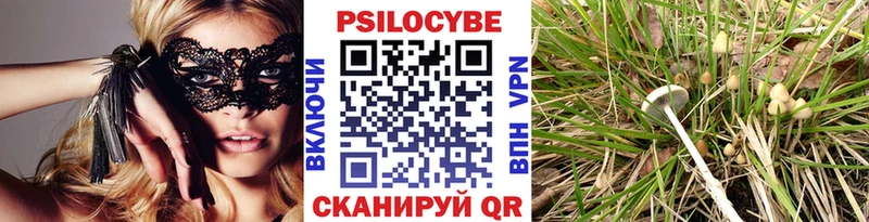 мориарти какой сайт  Гай  Галлюциногенные грибы Psilocybe  купить  цена 