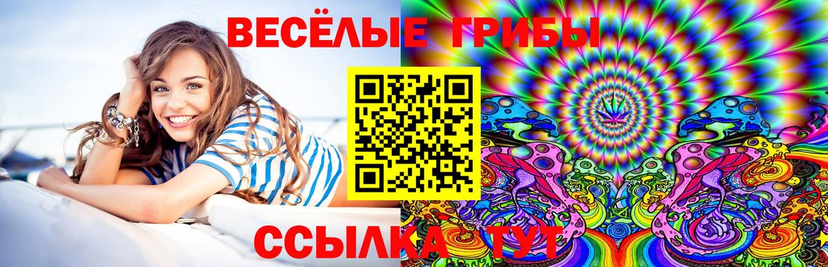 Галлюциногенные грибы MAGIC MUSHROOMS Гай