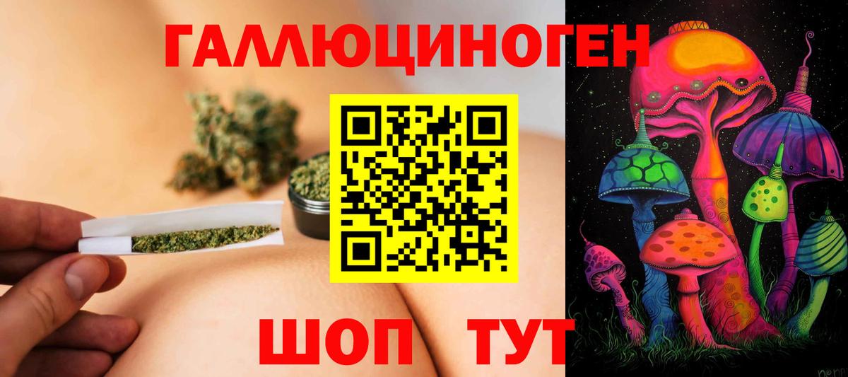 Псилоцибиновые грибы мицелий Гай