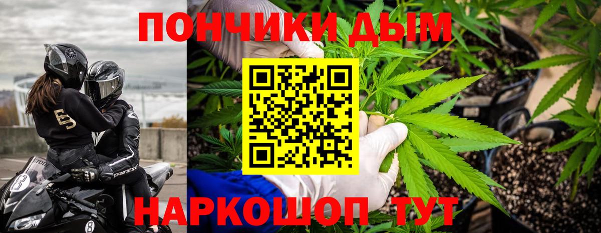 Каннабис VHQ Гай